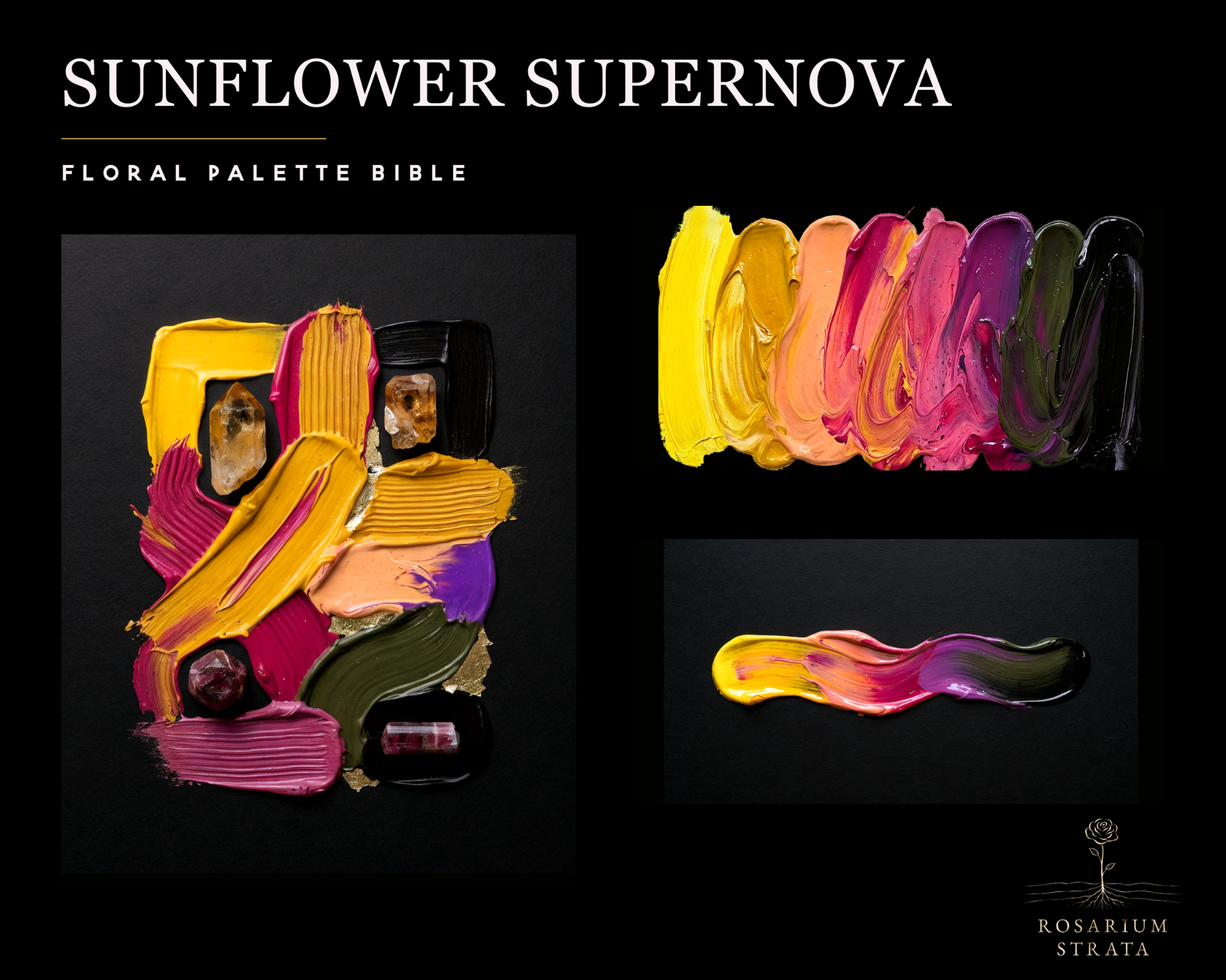 Sunflower Supernova wide editorial story