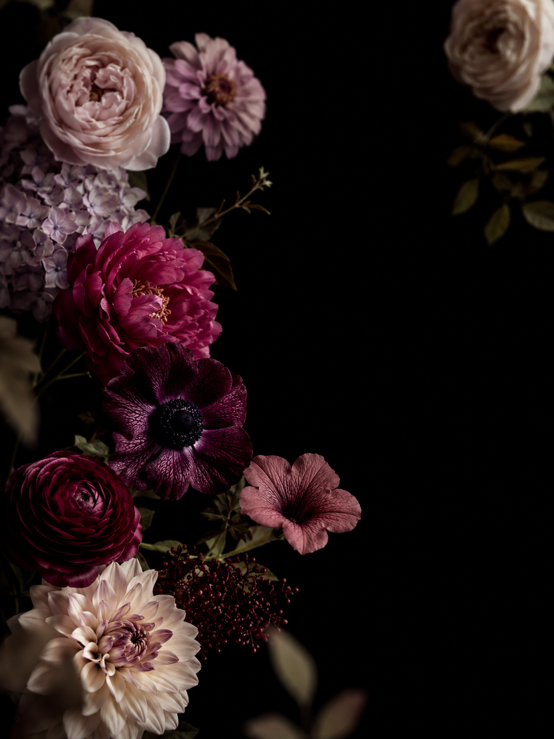Dark botanical floral composition